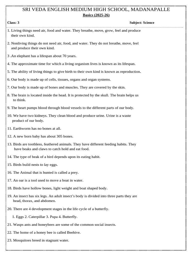 Class -3 Science Basics | PDF | Insects | Seed
