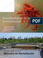 Biorremediacin de La Contaminacin