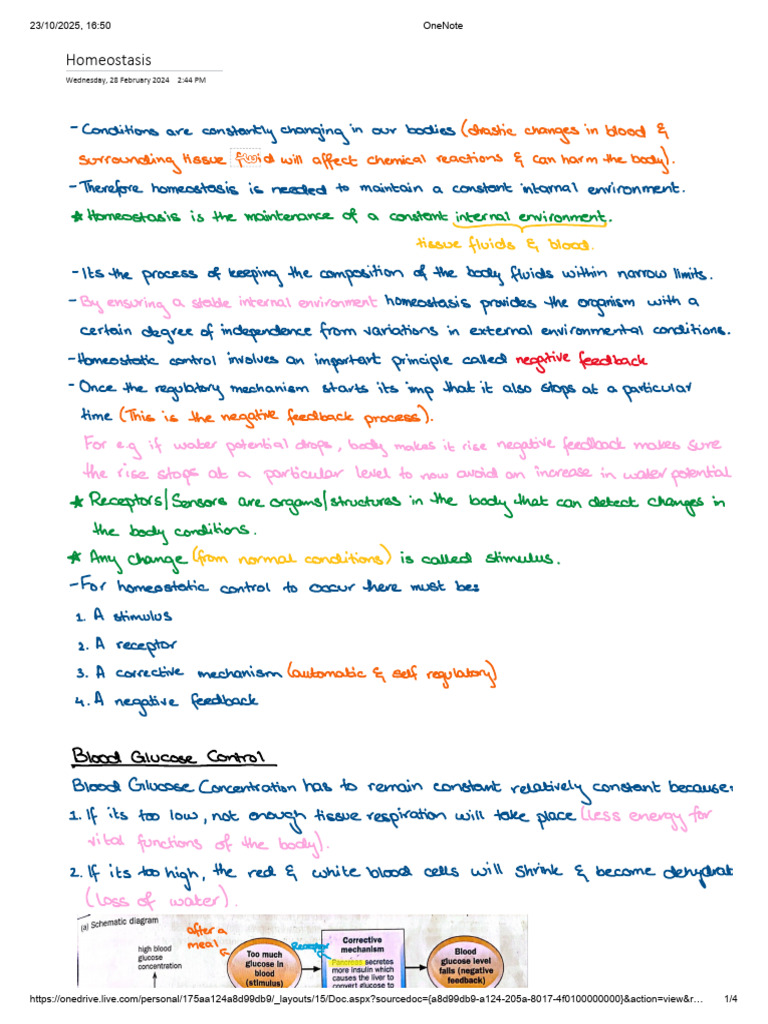 Homeostasis | PDF