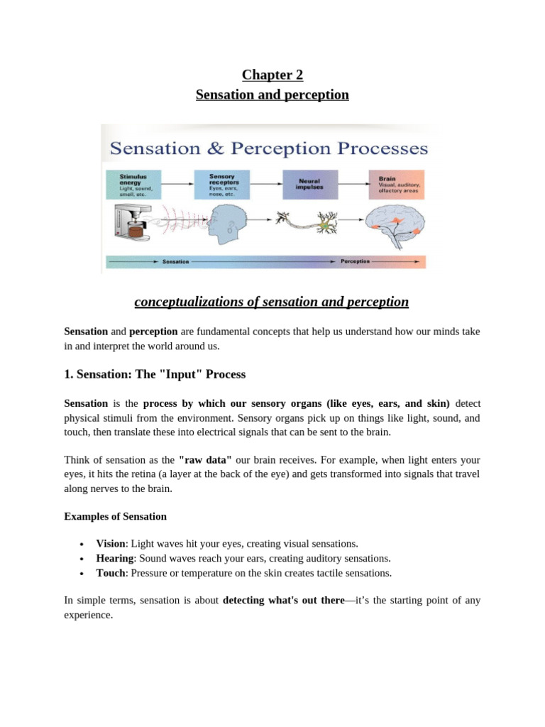 Understanding Sensation and Perception | PDF | Senses | Perception