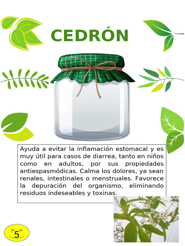 Beneficios del Cedrón para la Salud | PDF