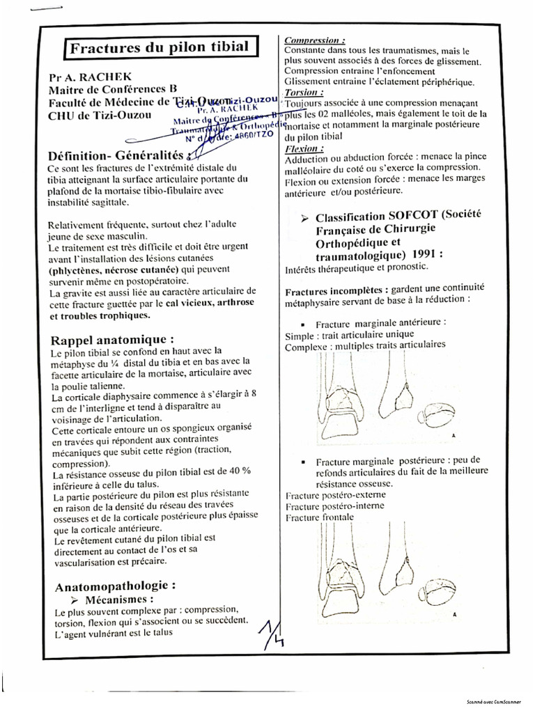 20-Fr. Du Pilon Tibial - Pr.rachek | PDF