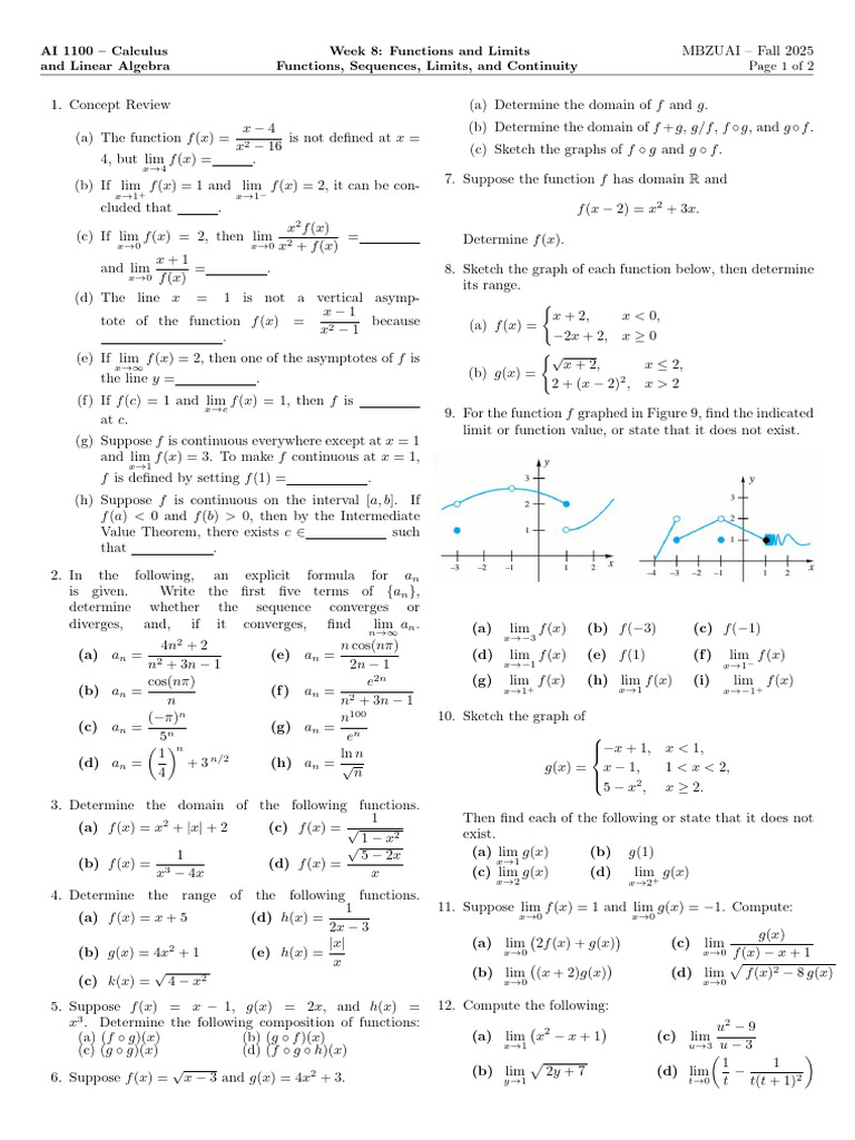 Functions and Limits in Calculus | PDF | Function (Mathematics ...