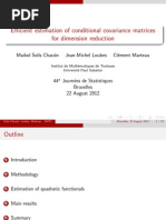 Efficient Estimation of Conditional Covariance Matrices For Dimension Reduction - Solís, Loubes, Marteau - JDS, Bruxelles 2012