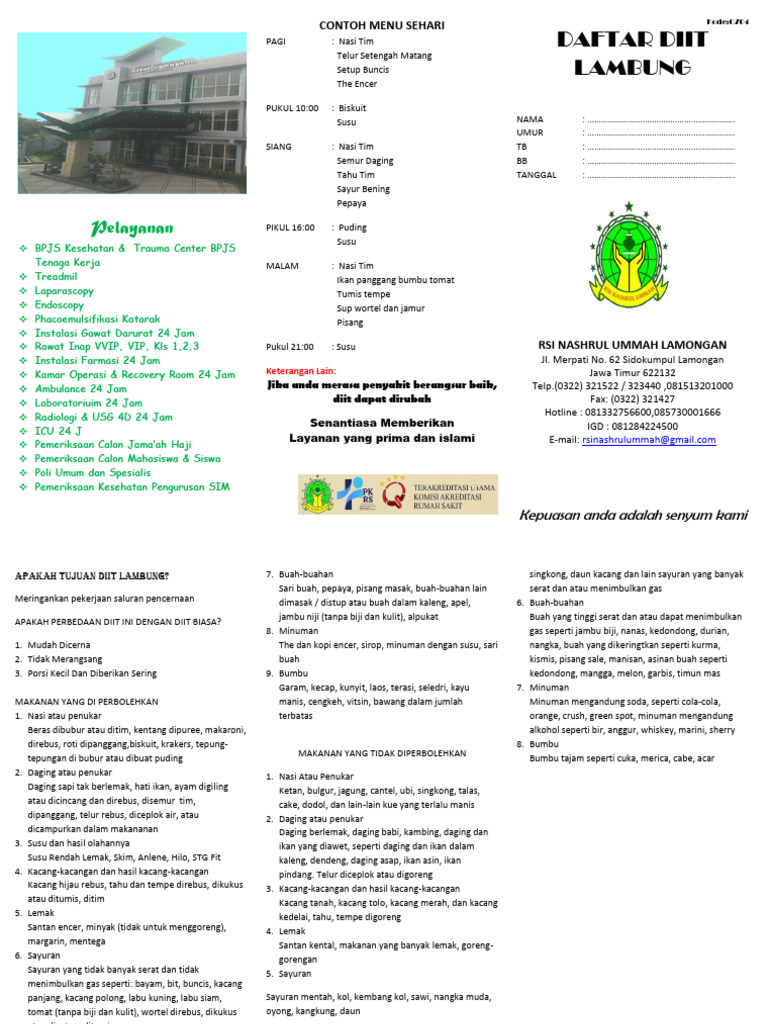 leflet DIIT Lambung | PDF