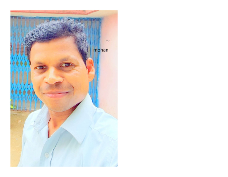Mohan | PDF