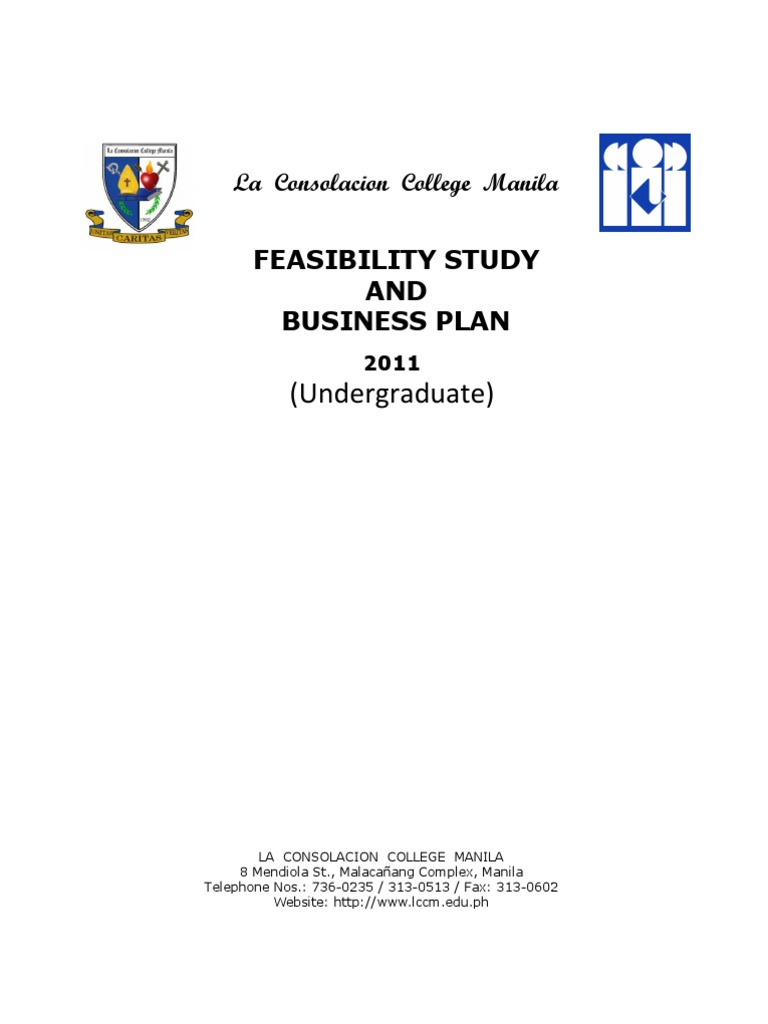 What is a feasibility study picture