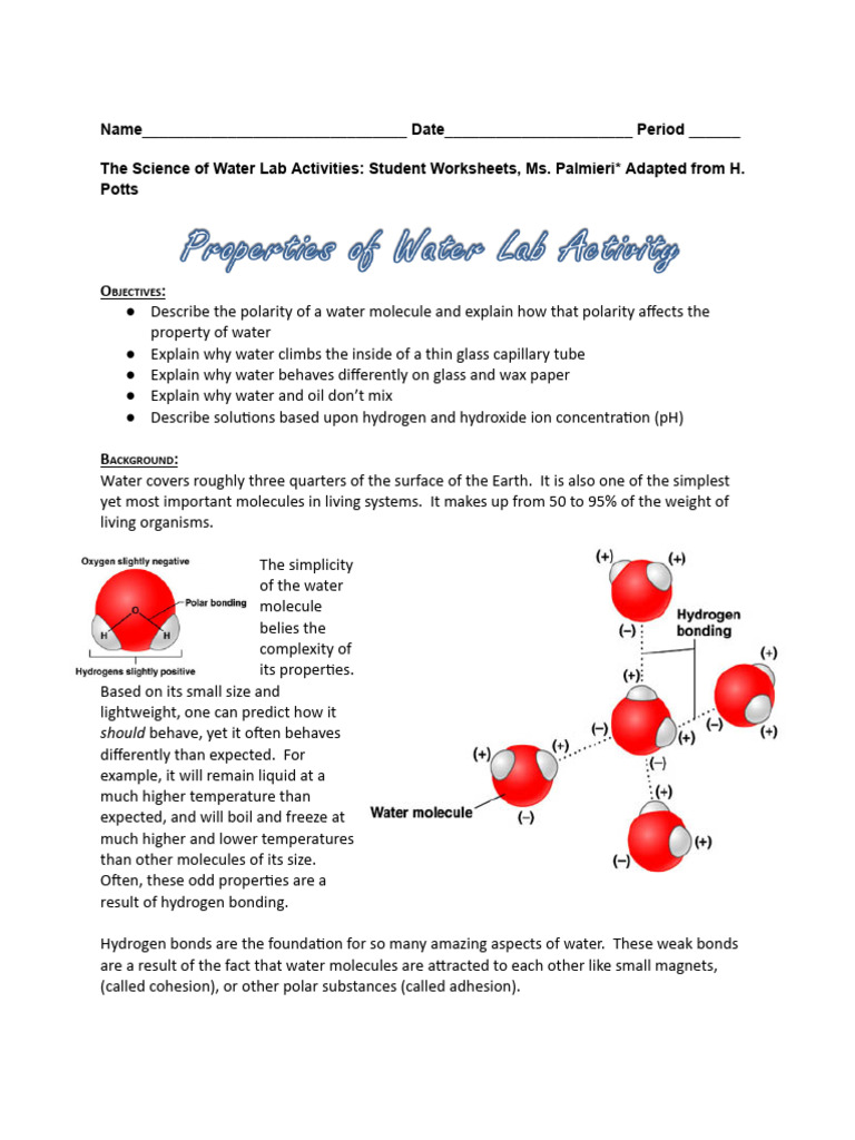 Water Science Lab Activities Worksheet | PDF | Surface Tension | Water