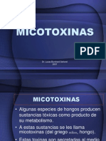 Micotoxinas 1204855586172613 4