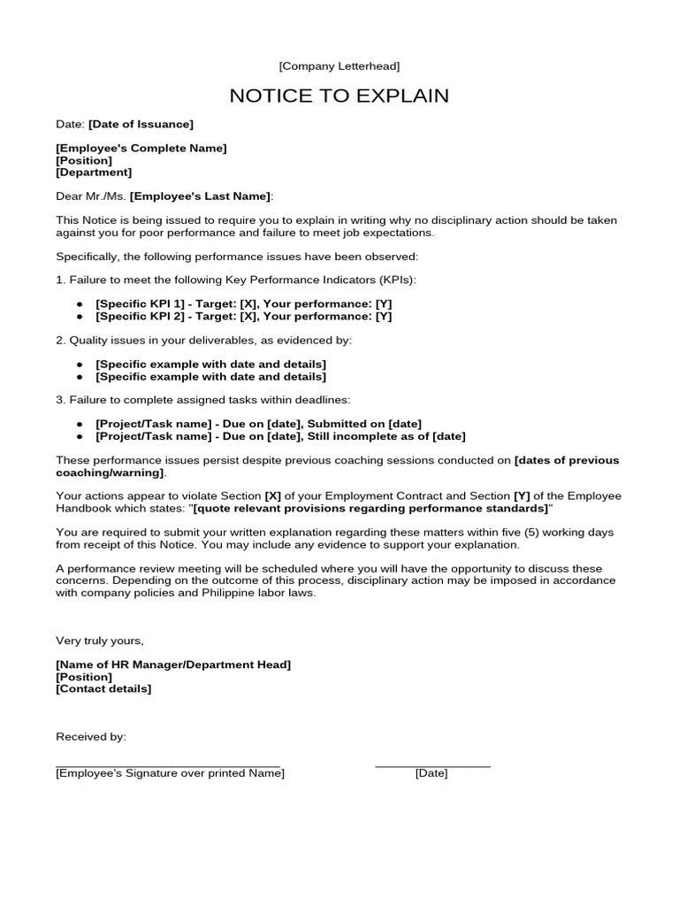 Notice to Explain Performance Issues | PDF