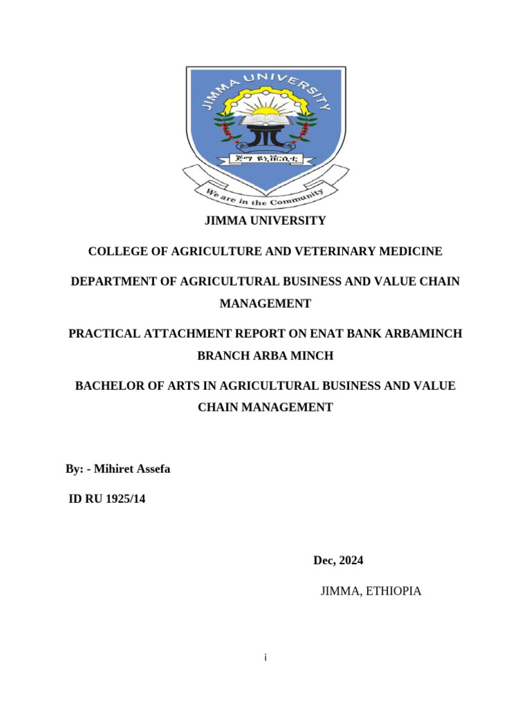 Practical Attachment Report: Enat Bank | PDF | Banks | Attachment Theory