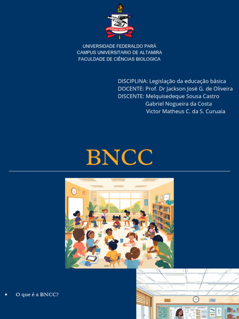 Implementação da BNCC na Educação Básica | PDF