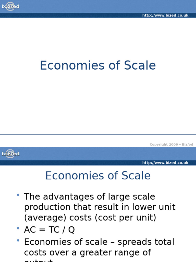 Economies of Scale | PDF | Economies Of Scale | Average Cost