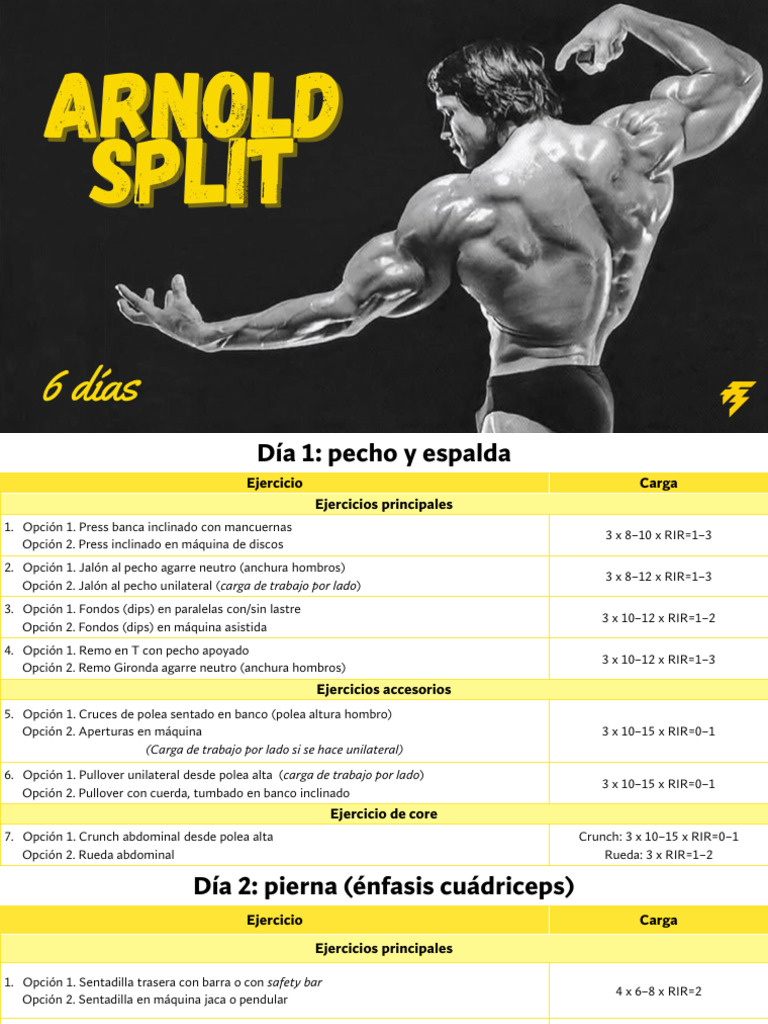 Rutina Arnold Split 6 Días | PDF | Sistema musculoesquelético ...