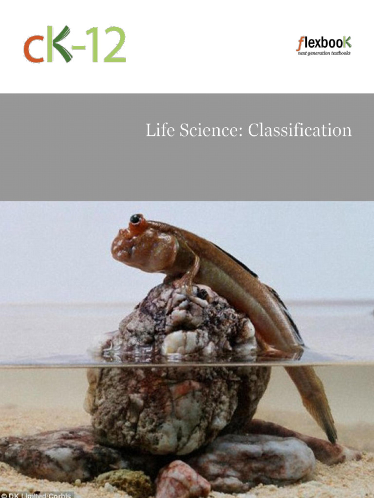 Life Science: Organism Classification Guide | PDF | Amphibian | Reptile