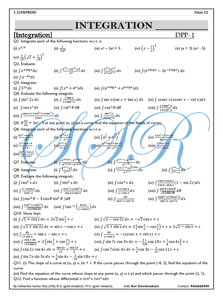 Integration Class 12 DPP 1 | PDF