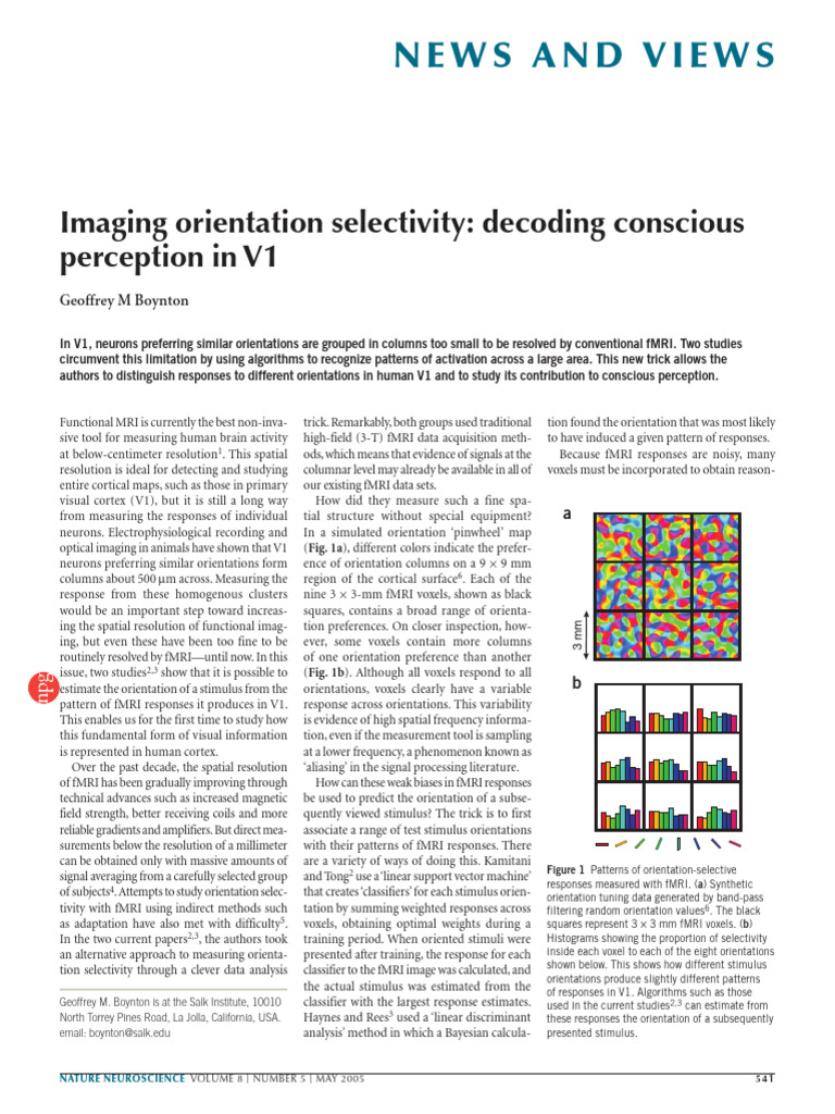 Decoding Orientation in Human V1 fMRI | PDF | Functional Magnetic ...