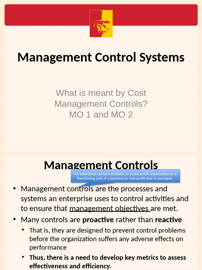 Understanding Management Control Systems | PDF