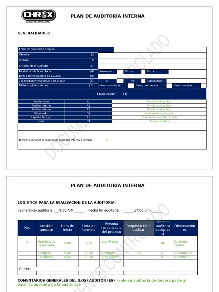 Plan de Auditoria Interna para Rox | PDF | Auditoría | Business