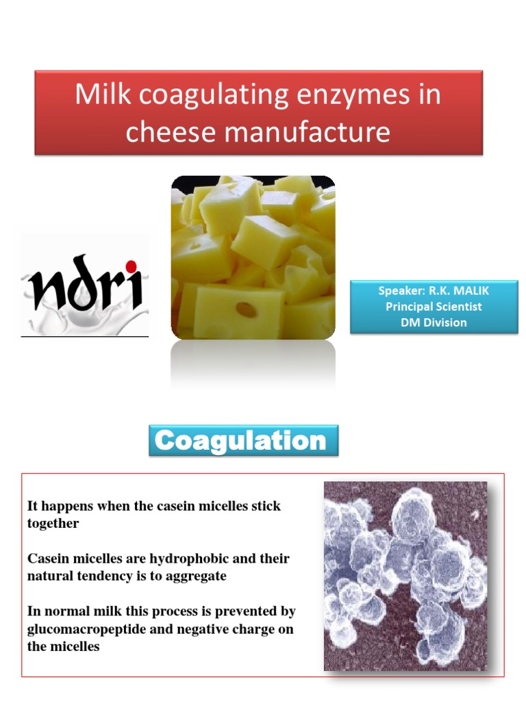 Milk Coagulating Enzymes in Cheese Manufacture Milk Molecular Biology
