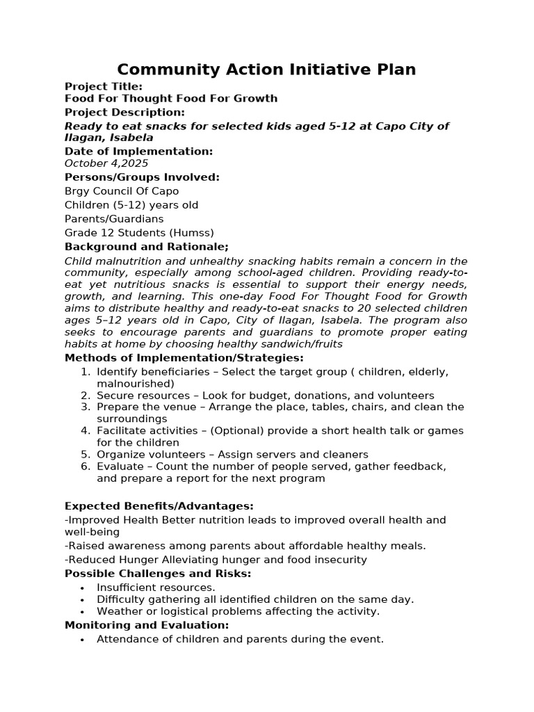 Community Action Initiative Plan 2 | PDF