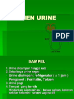 Sedimen Urine