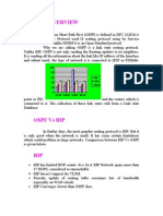 OSPF Basics