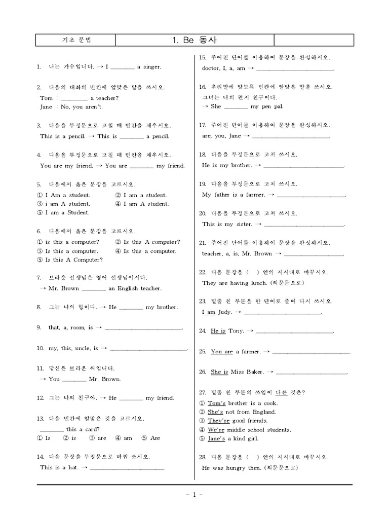 Basic English Grammar Exercises | PDF