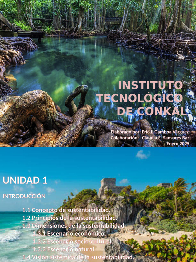 Fundamentos de la Sustentabilidad | PDF | Sustentabilidad | Entorno natural
