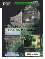 SITUAÇAO AMBIENTAL DA ILHA DE SAO LUIS