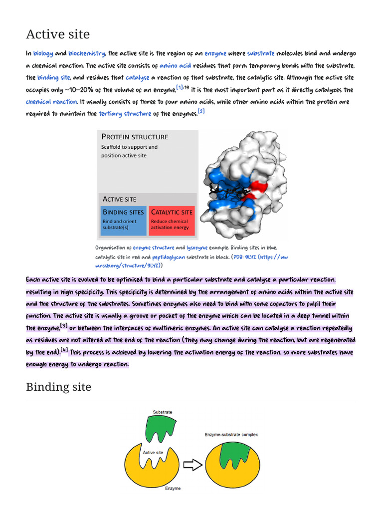 Active site | PDF | Active Site | Enzyme Inhibitor