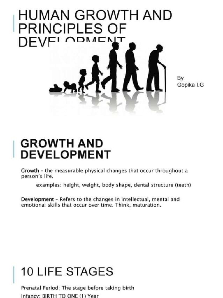 Human Growth Stage | PDF
