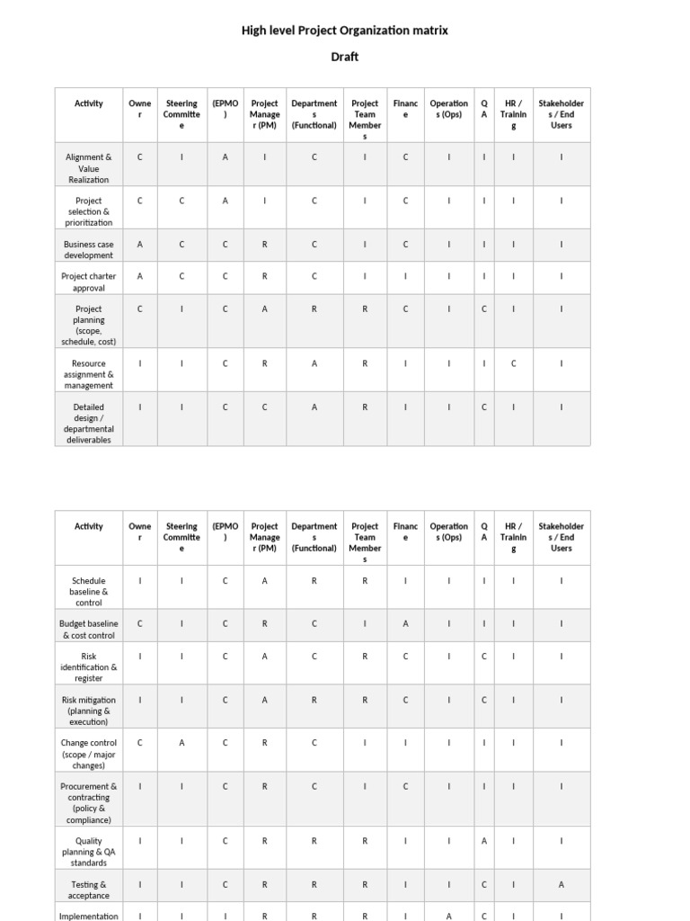 Project Organization Matrix Overview | PDF | Business