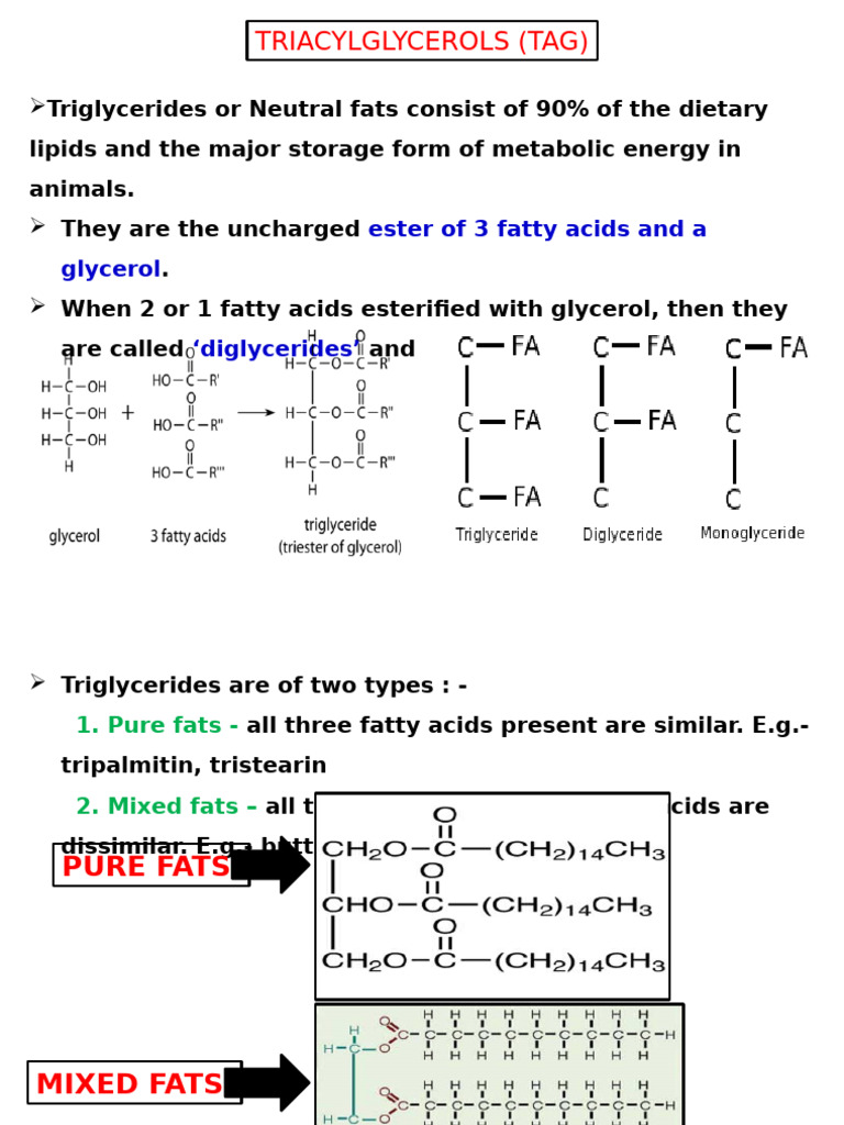 Understanding Triglycerides and Cholesterol | PDF