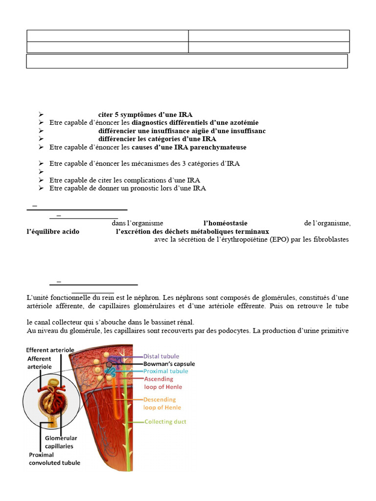 Insuffisance rénale aiguë : clés et diagnostics | PDF | Créatinine | Rein