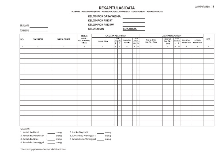 Rekapitulasi Data Ibu Dan Bayi | PDF