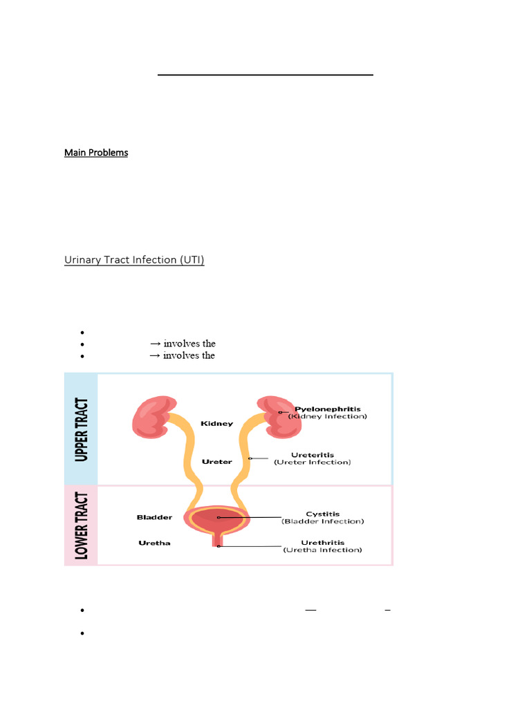 Kidney and Urinary Tract Diseases | PDF | Urinary Tract Infection | Kidney