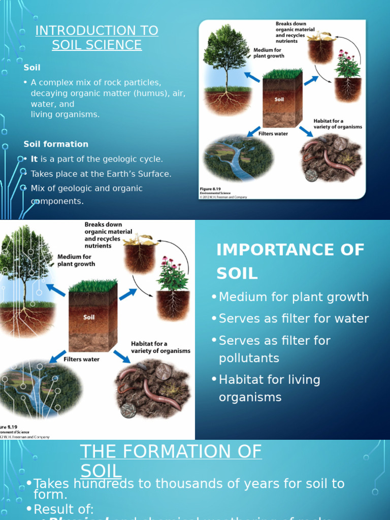 Overview of Soil Science Basics | PDF | Soil | Earth Sciences