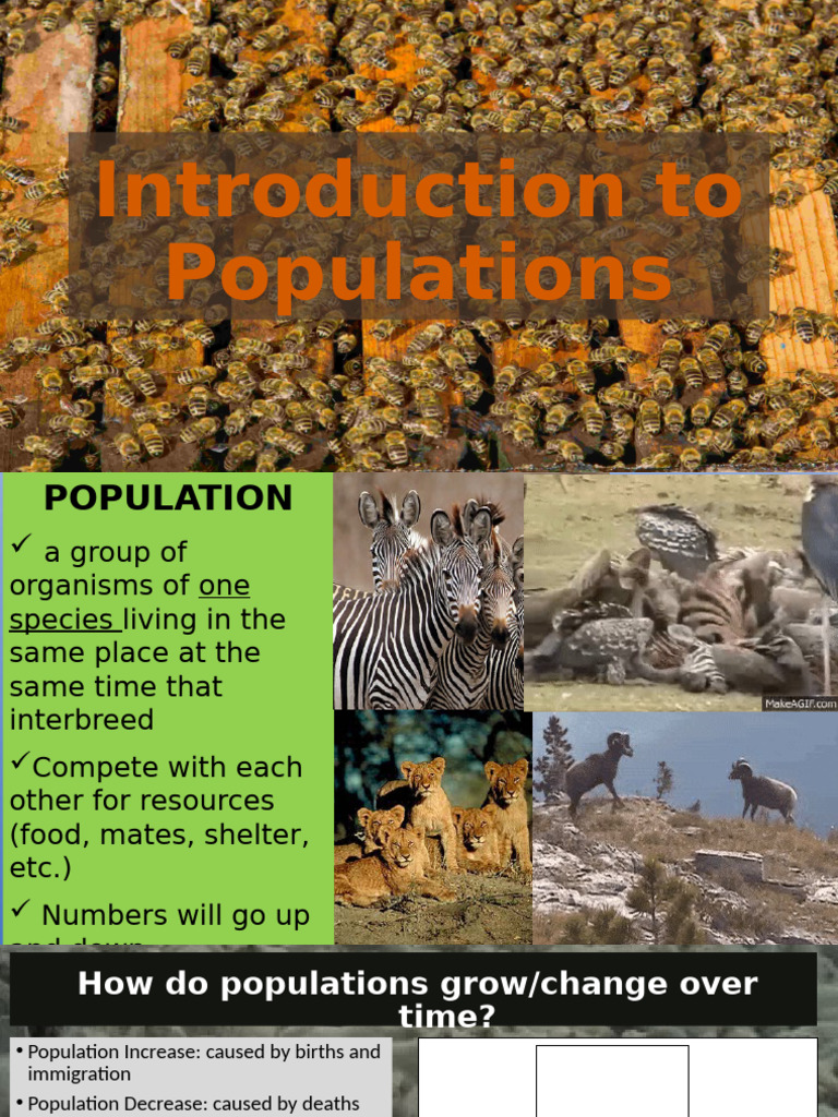 Understanding Population Dynamics | PDF | Cost Of Living | Birth Rate