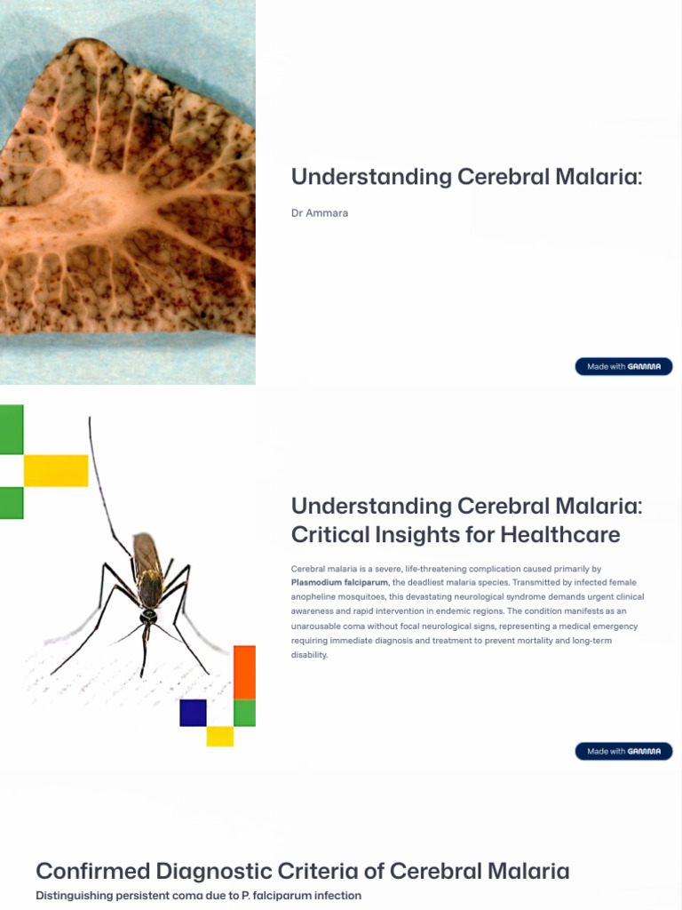 Cerebral Malaria: Diagnosis and Pathophysiology | PDF | Malaria ...