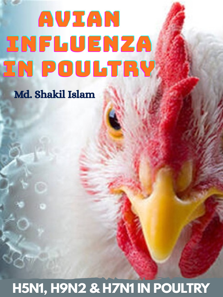 Bird Flu in Poultry | PDF | Avian Influenza | Influenza