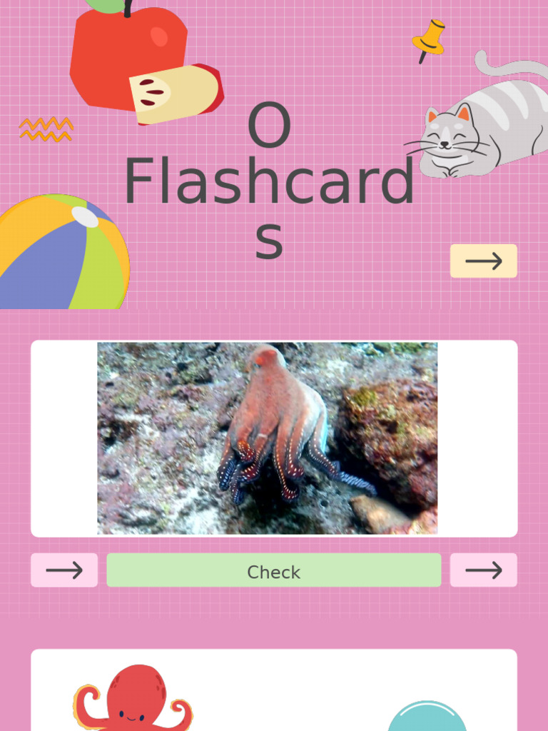 Octopus to Onion Flashcards | PDF