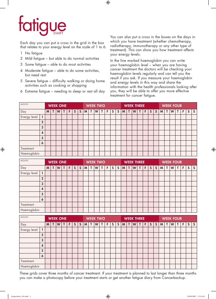 Fatigue Diary PDF