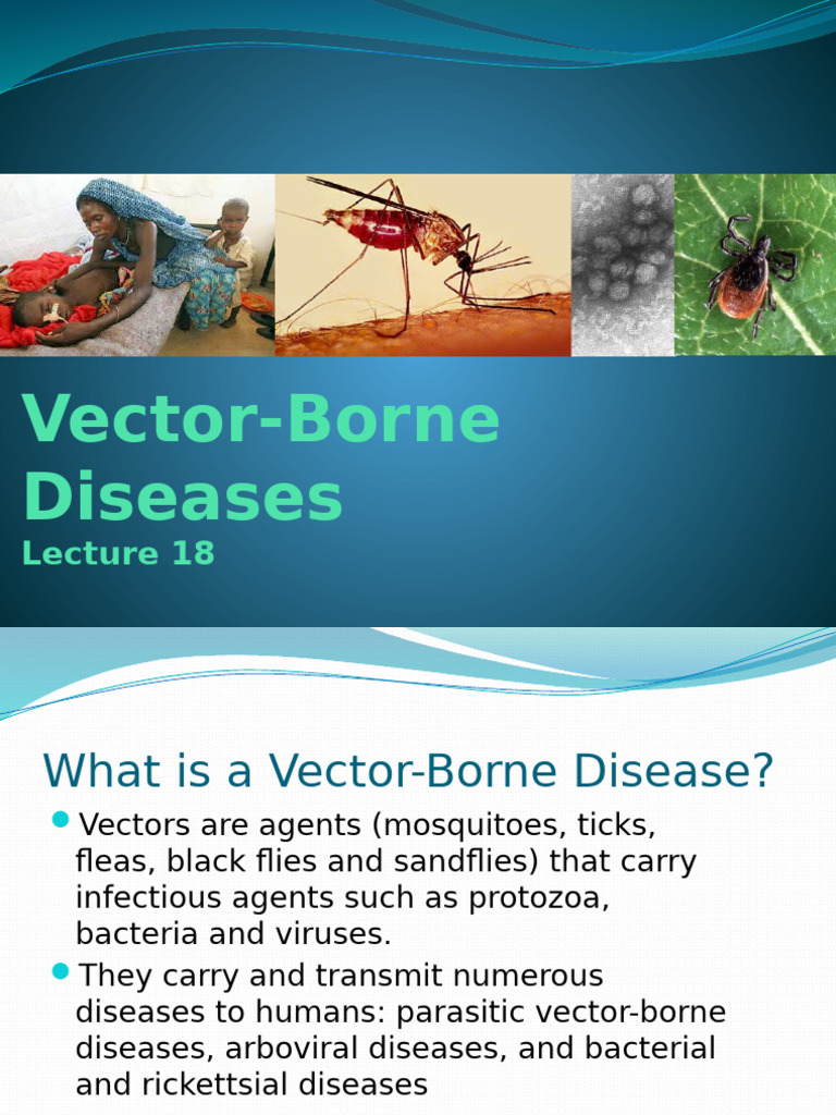 Understanding Vector-Borne Diseases | PDF