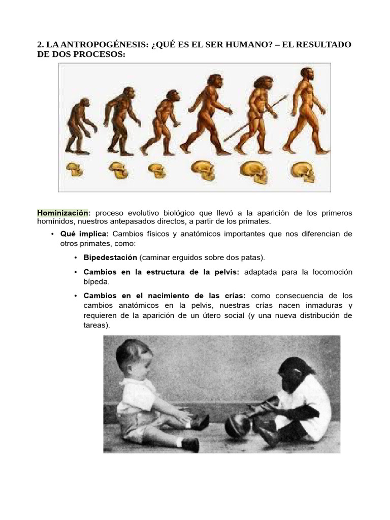 Hominización y Humanización del Ser Humano | PDF