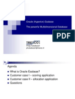 Oracle Essbase The powerful Multidimensional Database