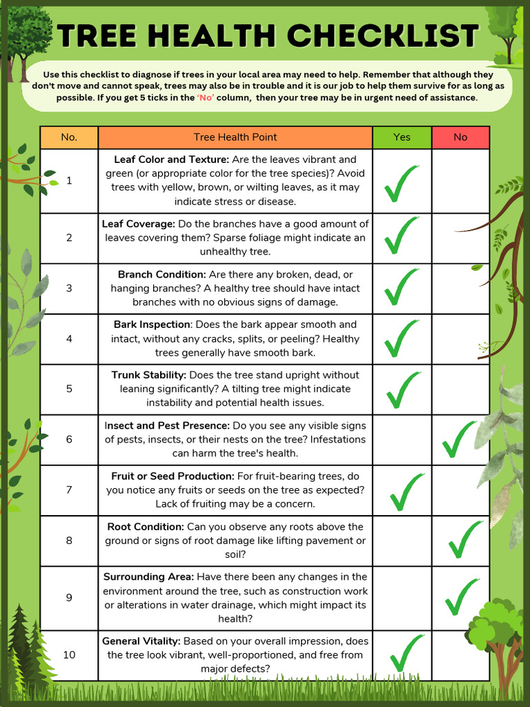 Tree Health Checklist for Diagnosis | PDF | Trees | Pest (Organism)