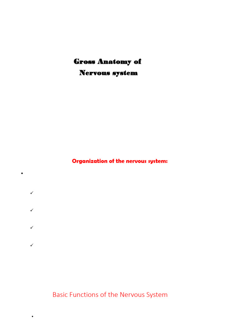 Nervous System Anatomy and Functions | PDF | Central Nervous System ...