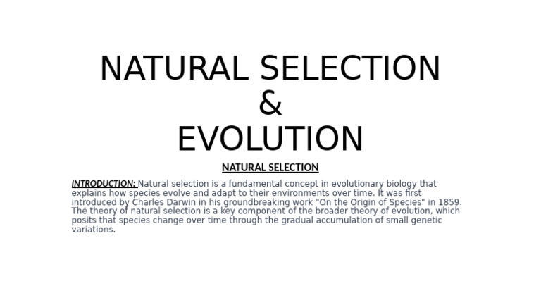 Presentation Natural Slection | PDF