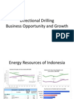 Directional Drilling Busines Oppurtunity Growth and FP